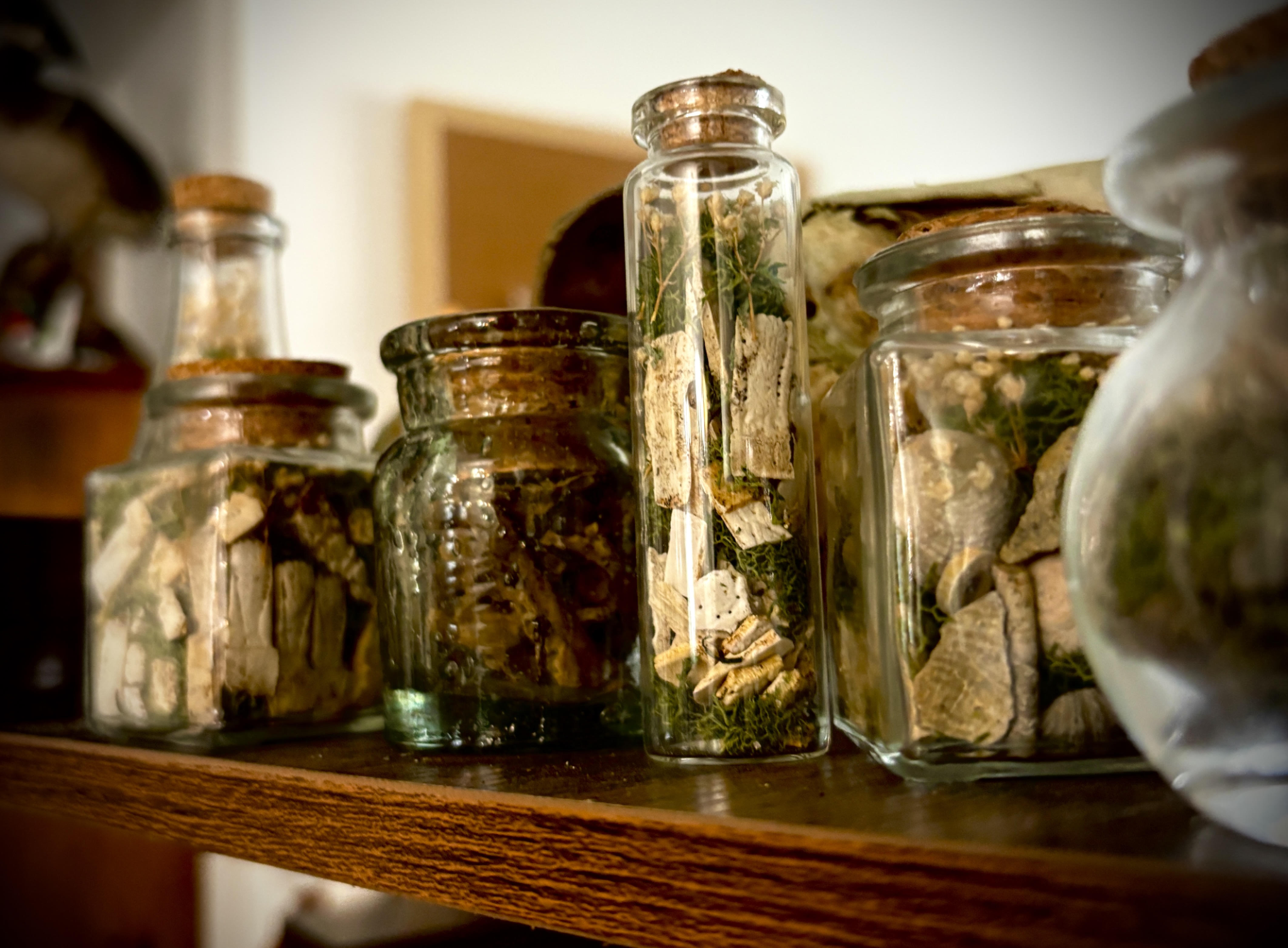 Glass bottles containing bone fragments